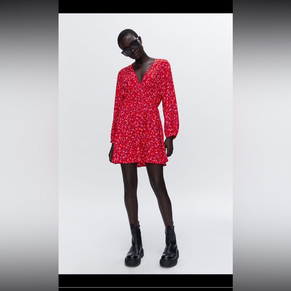 Zara dress